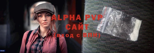 гашик Богданович