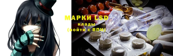 гашик Богданович