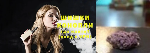 гашик Богданович