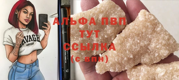 гашик Богданович