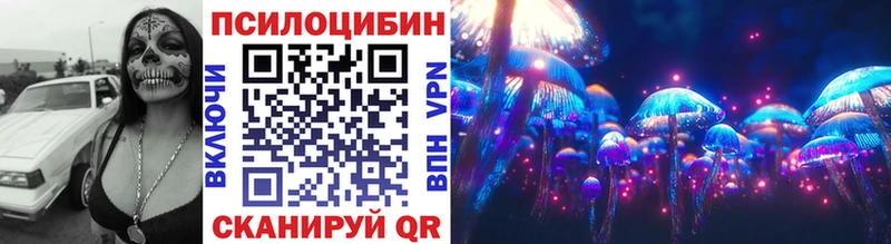 гидра ТОР  Невельск  Псилоцибиновые грибы Psilocybe 